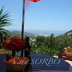 Sorbo
