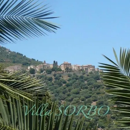 Apartament Sorbo *