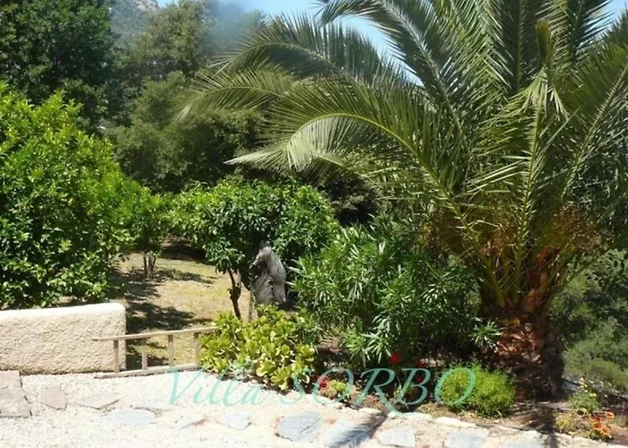 公寓 Sorbo LʼÎle-Rousse